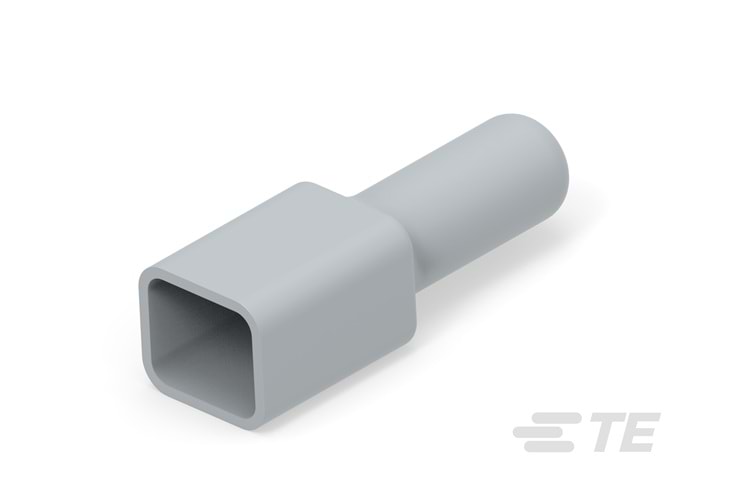 DT4P-BT