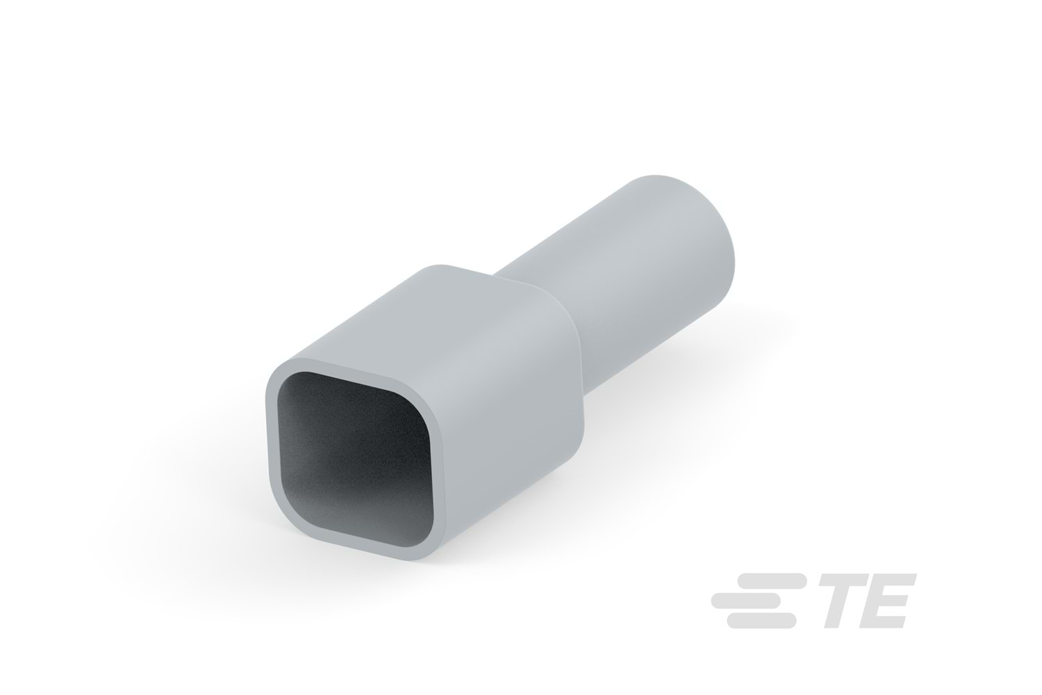 DT6P-BT